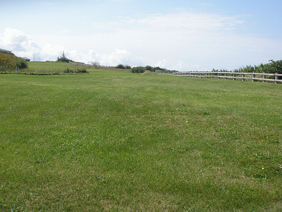 夫婦園キャンプ場のサイト風景